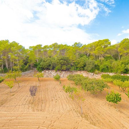 פלניטקס Villa Bell Lloc By Alquilair מראה חיצוני תמונה