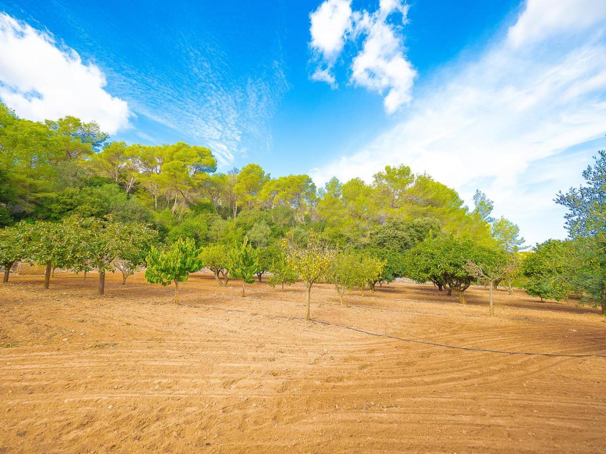 פלניטקס Villa Bell Lloc By Alquilair מראה חיצוני תמונה