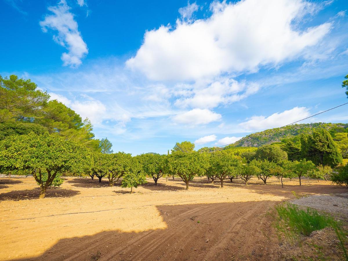 פלניטקס Villa Bell Lloc By Alquilair מראה חיצוני תמונה