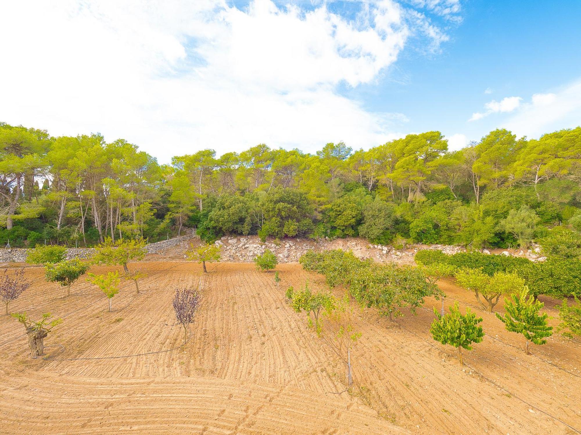 פלניטקס Villa Bell Lloc By Alquilair מראה חיצוני תמונה