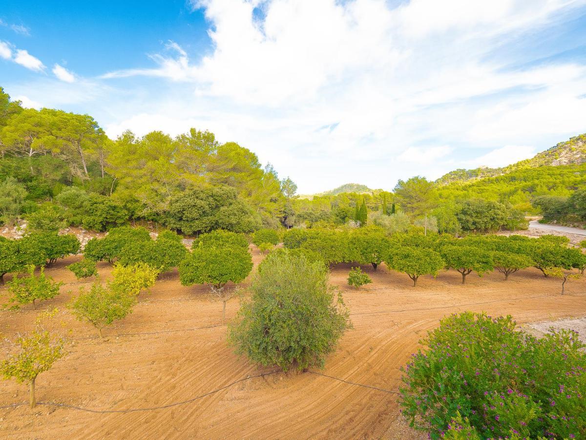 פלניטקס Villa Bell Lloc By Alquilair מראה חיצוני תמונה