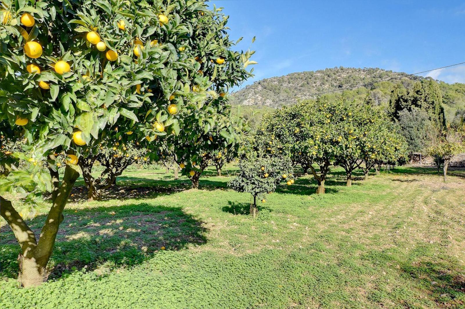 פלניטקס Villa Bell Lloc By Alquilair מראה חיצוני תמונה